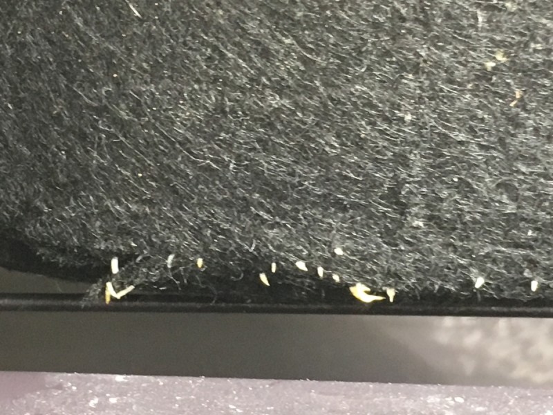 3FA738D1-4DB1-430B-BAF0-929F66B6ACF6