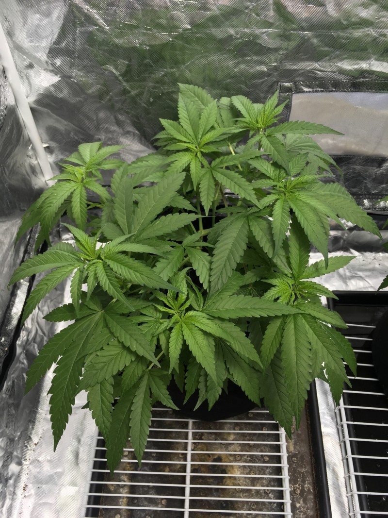 BE071A13-9E68-4E91-9A3E-B18B45723047