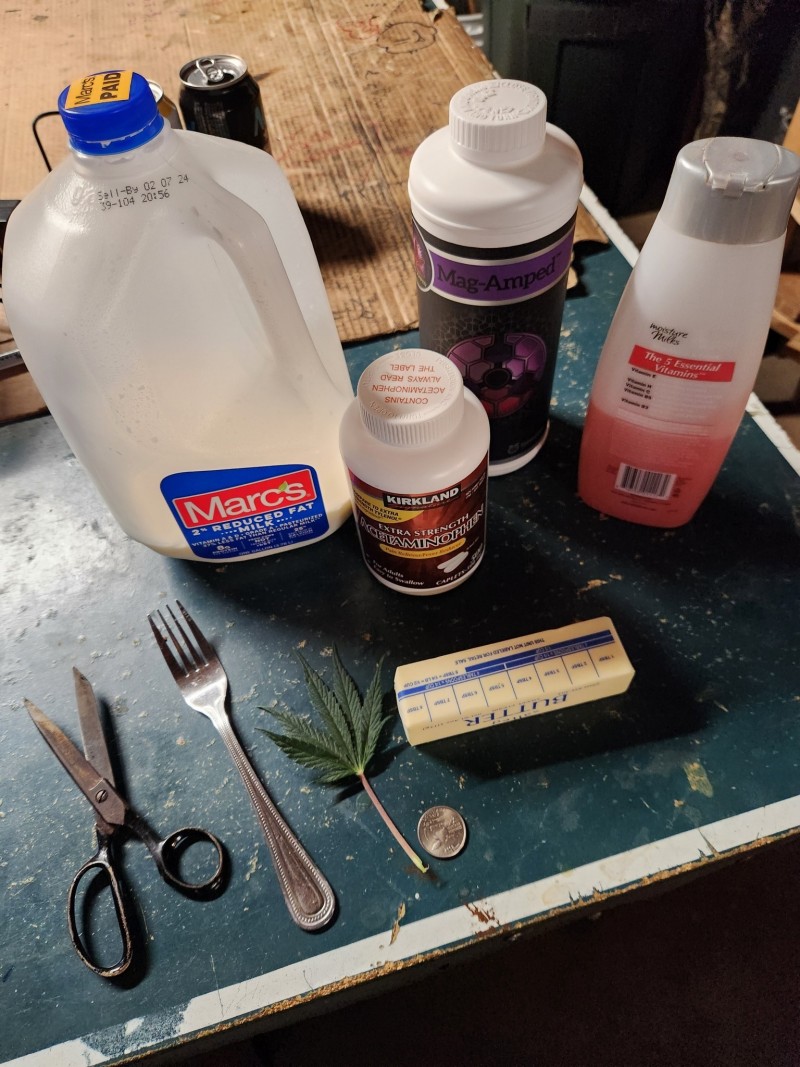 17069926628053393693112400274548