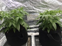 0EFDBF97-5A8A-41BF-9E3E-F9AD8980E93D