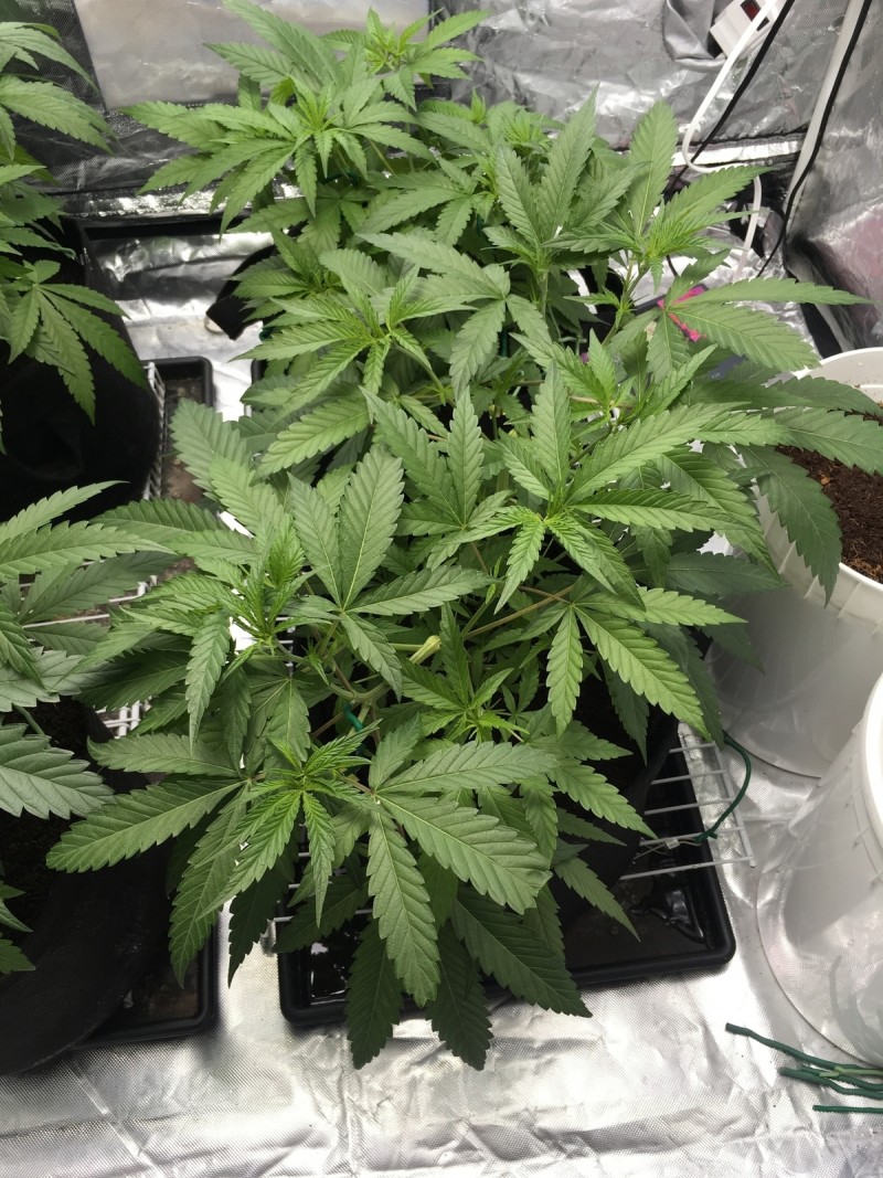 0B76EDC5-9E96-4FF9-95F7-8D6FA5BC2926