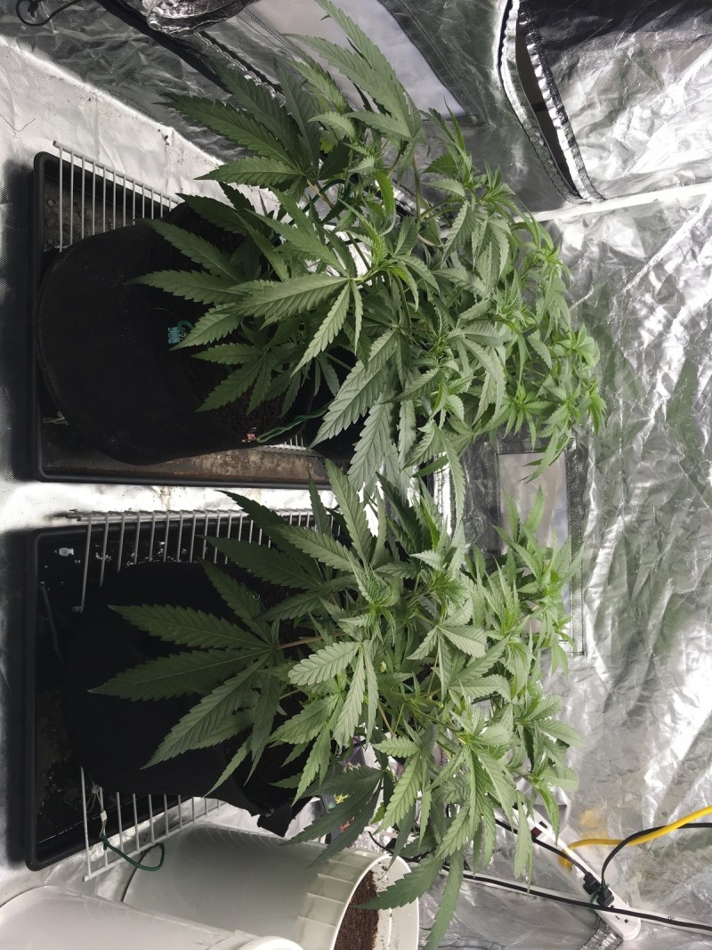 778D78C1-88F1-4C83-9952-D28222581958