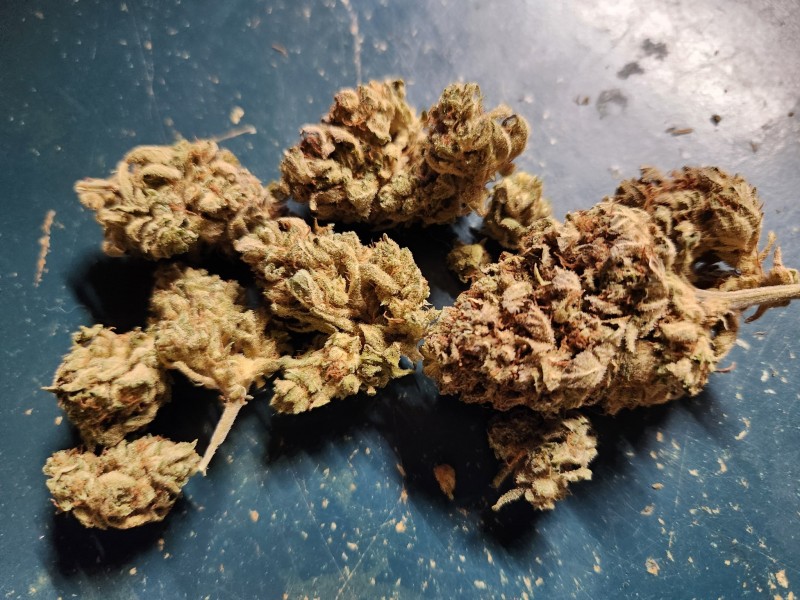 1707357570164725084505189165732