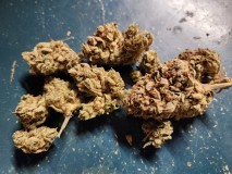 1707357570164725084505189165732