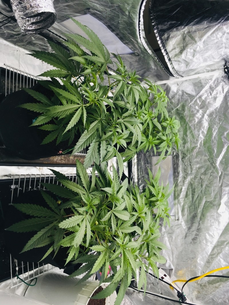 7A4ACC24-19D9-4622-AFBB-72352BAB0520