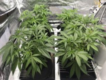 94F710DF-1DBF-4A74-A17C-5B6E2545B092