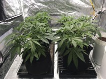 A811BB26-E4E3-4936-9A0B-F6957656A5B2