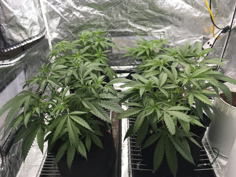 C29E36DA-7563-457E-BB40-AF70C818681C