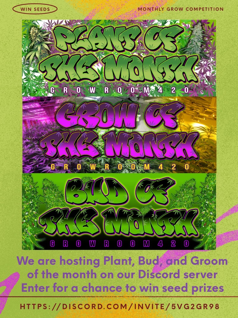 4f6f408e-b536-477b-a9a5-0254a0b1e7d2