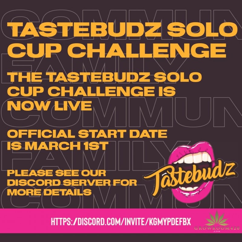 4104eee3-a67b-4a32-bd33-583b99cb6277