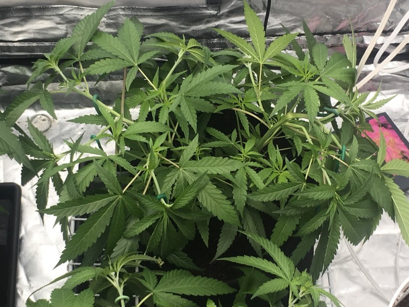 EDA22F1D-B587-4873-A2C5-6CA269BCCC79