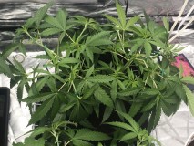 EDA22F1D-B587-4873-A2C5-6CA269BCCC79