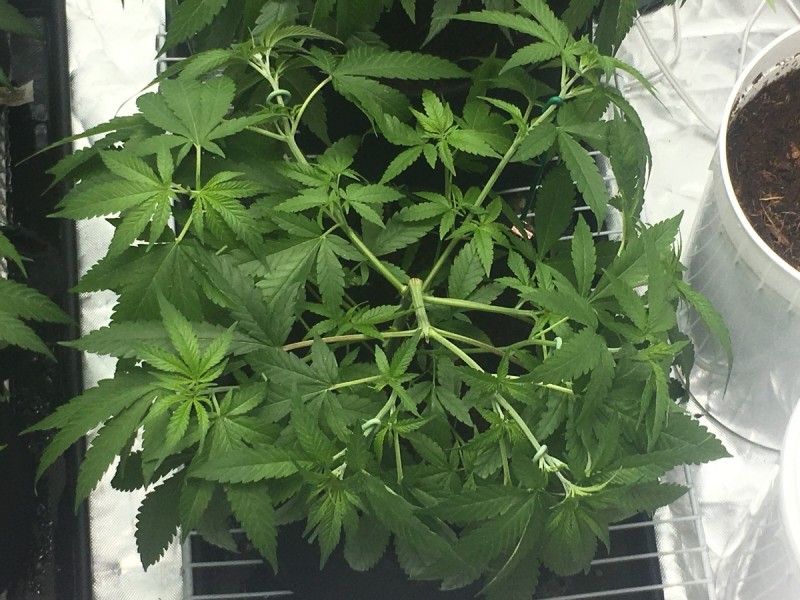 6362F190-20CD-421A-B98E-32F87B576D2B