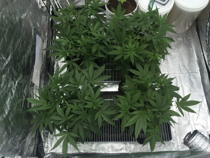 558BCB50-1A17-42AB-ADEC-C48478D0142F