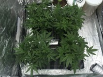 558BCB50-1A17-42AB-ADEC-C48478D0142F