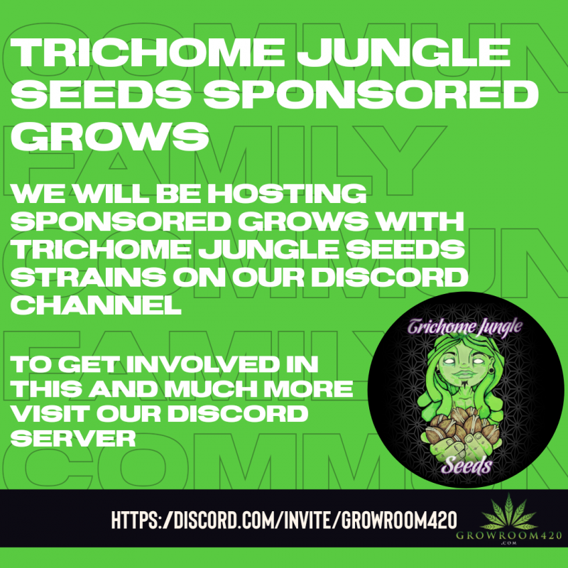 project_20240220_0131215-01