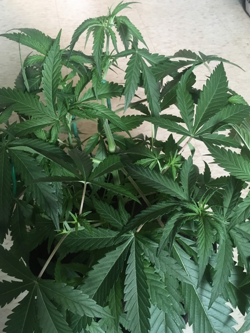 4A8A982D-00C2-4E08-B389-1E9BCC9C0C0D