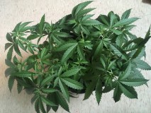 AB876729-94C2-4863-A2DB-502D9A4E1C9D