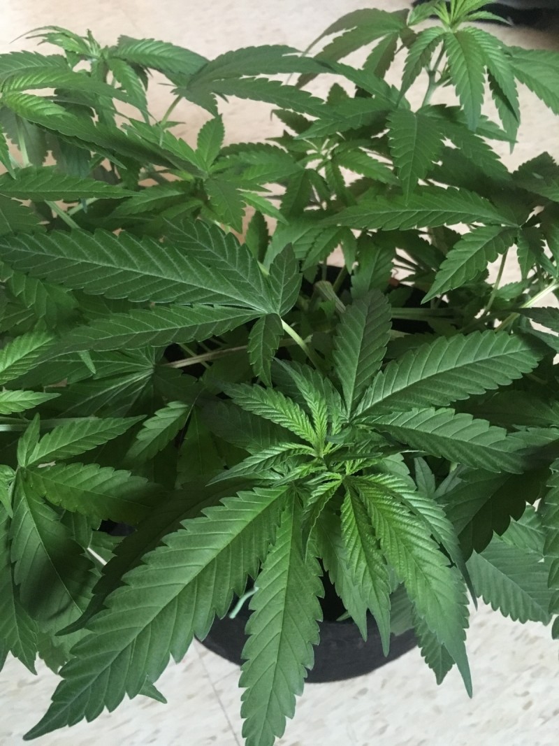 33D90F3E-3606-4813-BB9E-89EAED9955F2