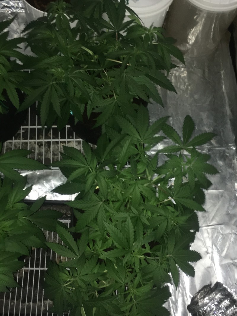 99B60AD4-D933-4B43-9286-FA104FB3F310