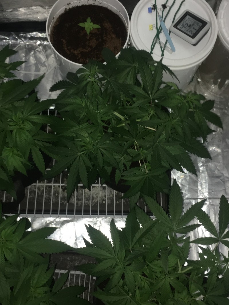 0080CF46-8A2E-4DE5-844D-45E3CEF9C2F9