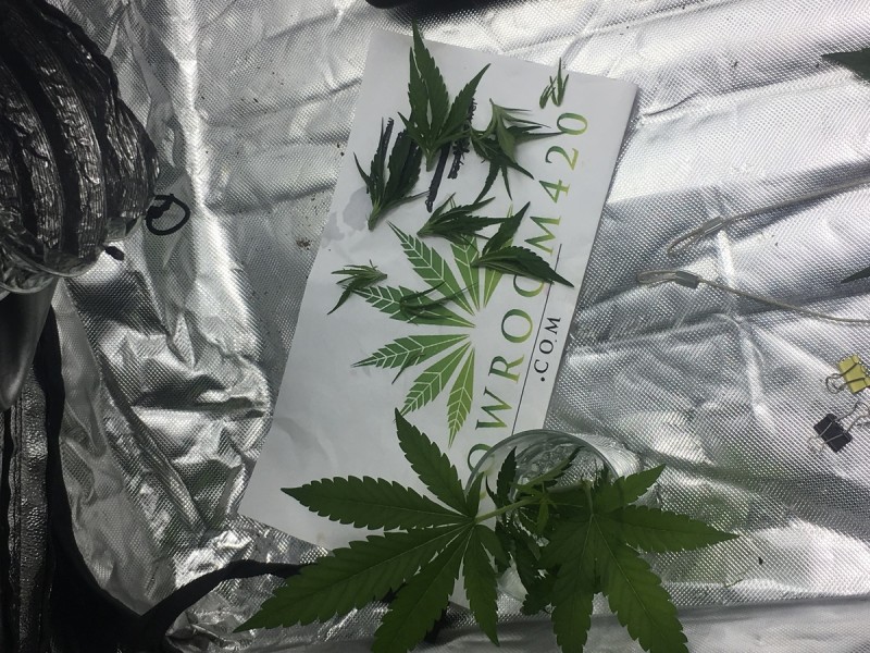 E0B15889-26B2-4311-9801-181763E1B4C9