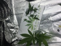 E0B15889-26B2-4311-9801-181763E1B4C9