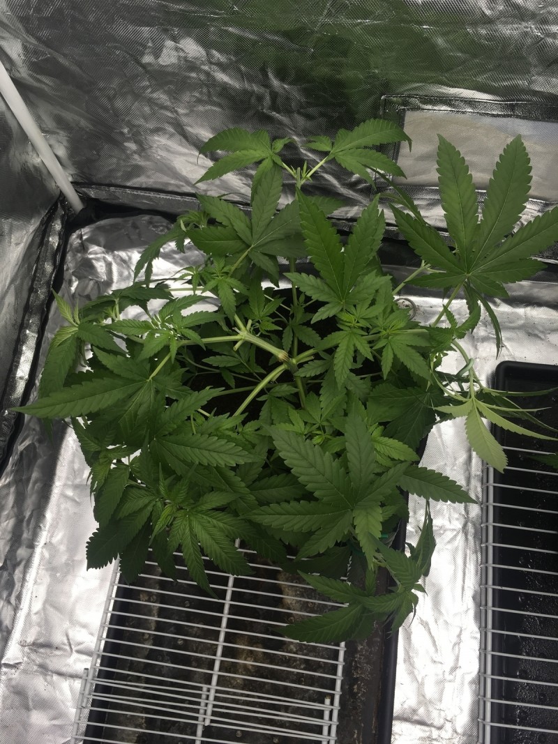 759DD02A-DBF3-40C6-A93A-A691506E3676