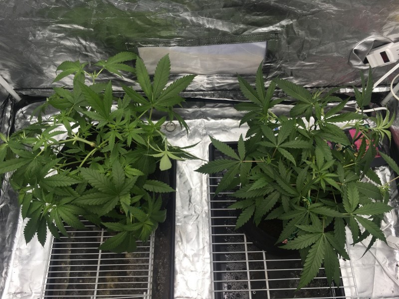 05AAF891-C116-4910-8FFE-01C56491D3CA