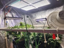 17096691759556414963866101583450