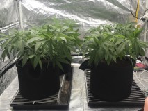 6AB1DA7D-3E00-49E3-8F57-539C0FC86720