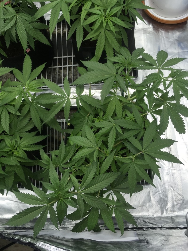 14E1735F-2316-431B-9EC5-B7D0D791C404