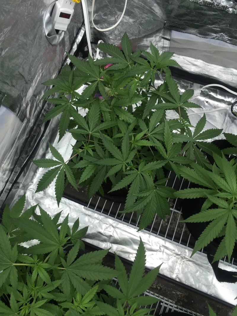 62936F6F-C751-43B6-87DE-B13BEE6B0A58