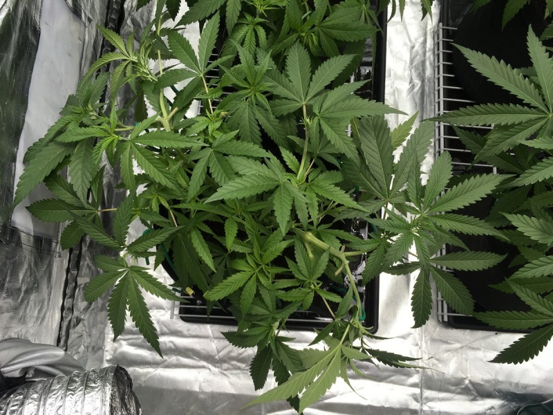 ABCEC0B3-27D7-43F5-8BDA-38FE8315DA02