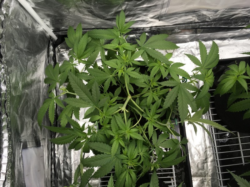 D8F3AA49-087D-43F1-8185-C712C7B59376