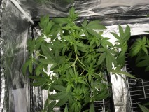 D8F3AA49-087D-43F1-8185-C712C7B59376