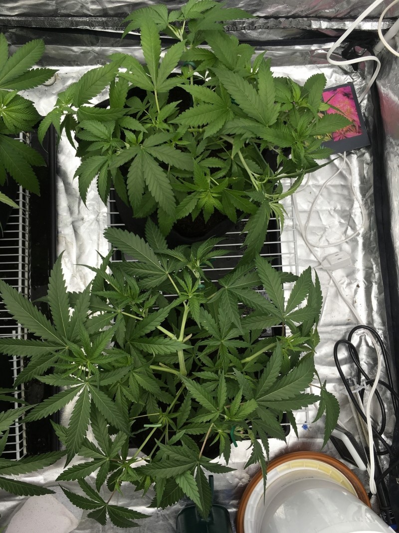 0809A802-D0AD-4785-94EA-66BB8E38CDED