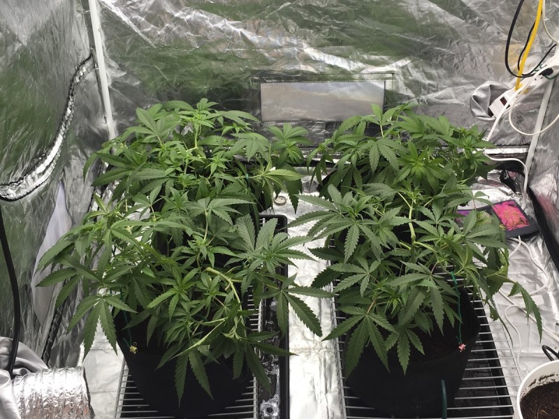 D48DED24-D7D9-4E10-B96D-8991E3B7EA32