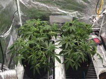 D48DED24-D7D9-4E10-B96D-8991E3B7EA32