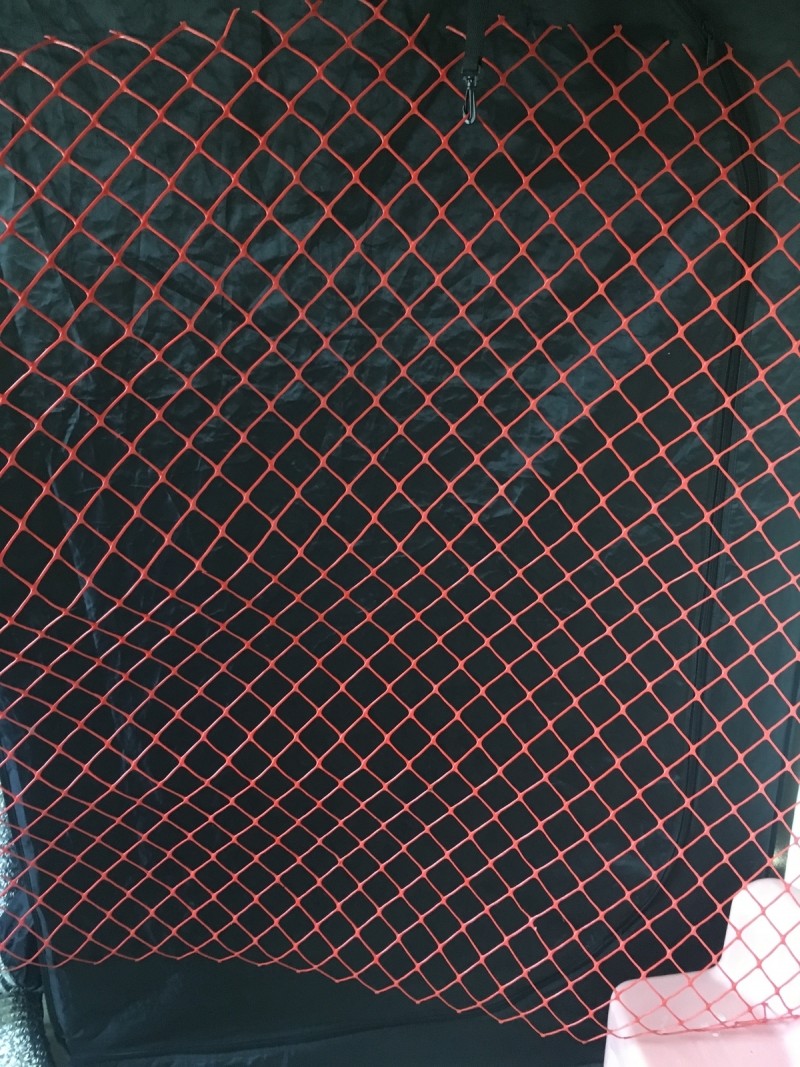 2363EC3B-55CC-4E9A-BC93-9BCA08375D14