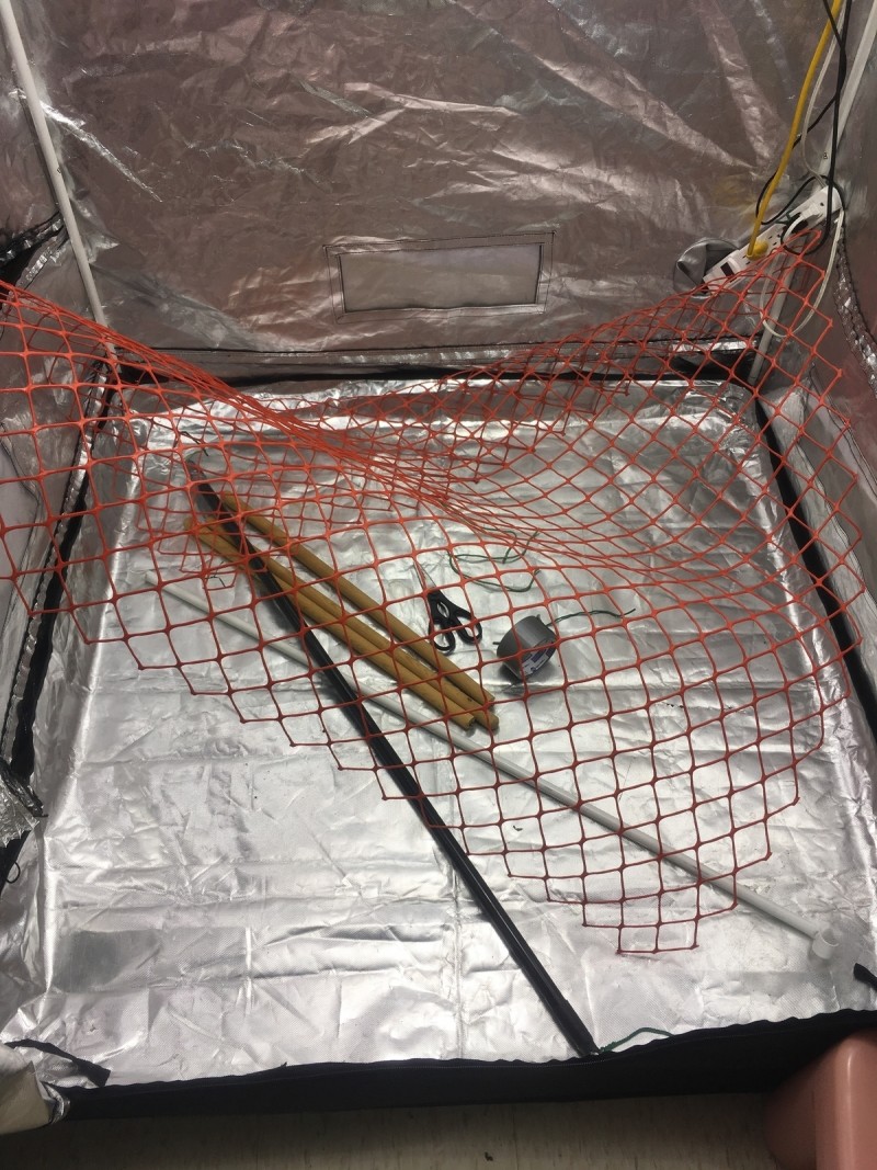 868338B6-701E-4B1C-ABDB-B977272904B2