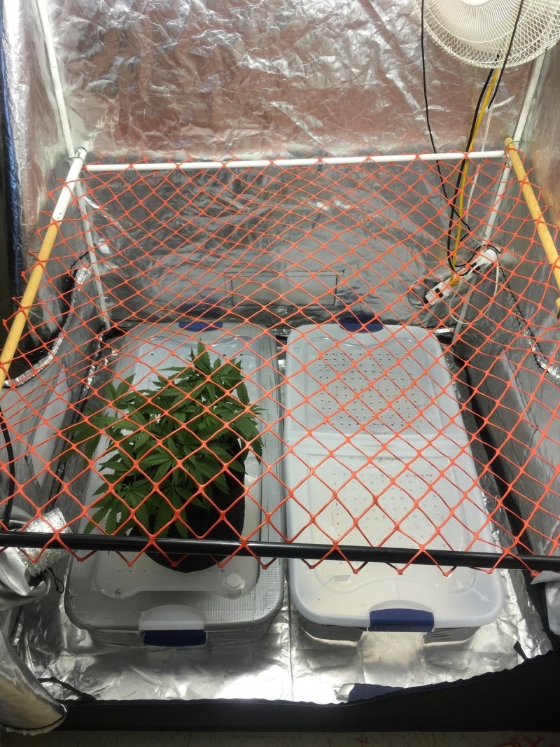 870AE3D2-DA83-409F-B918-D59F1FC84A2C