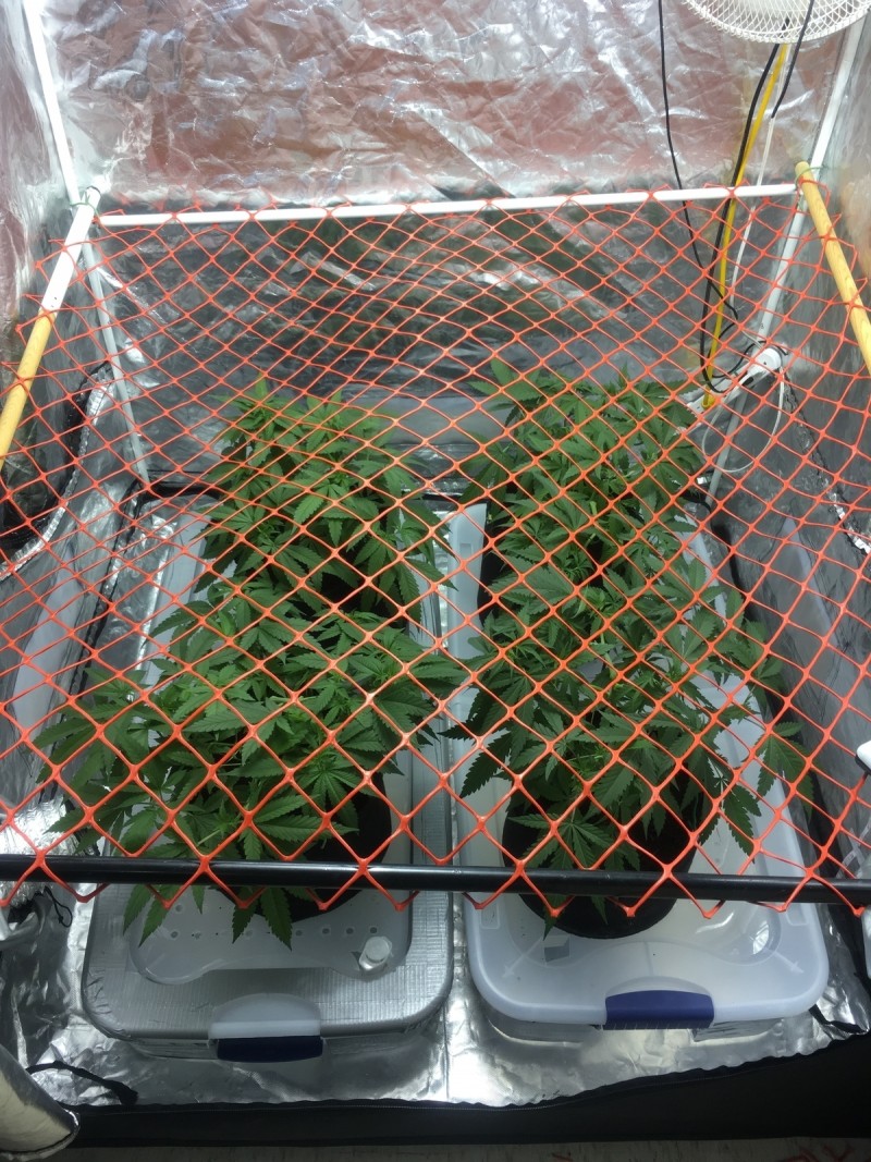 61067681-7617-4947-9D11-500015D48ACE