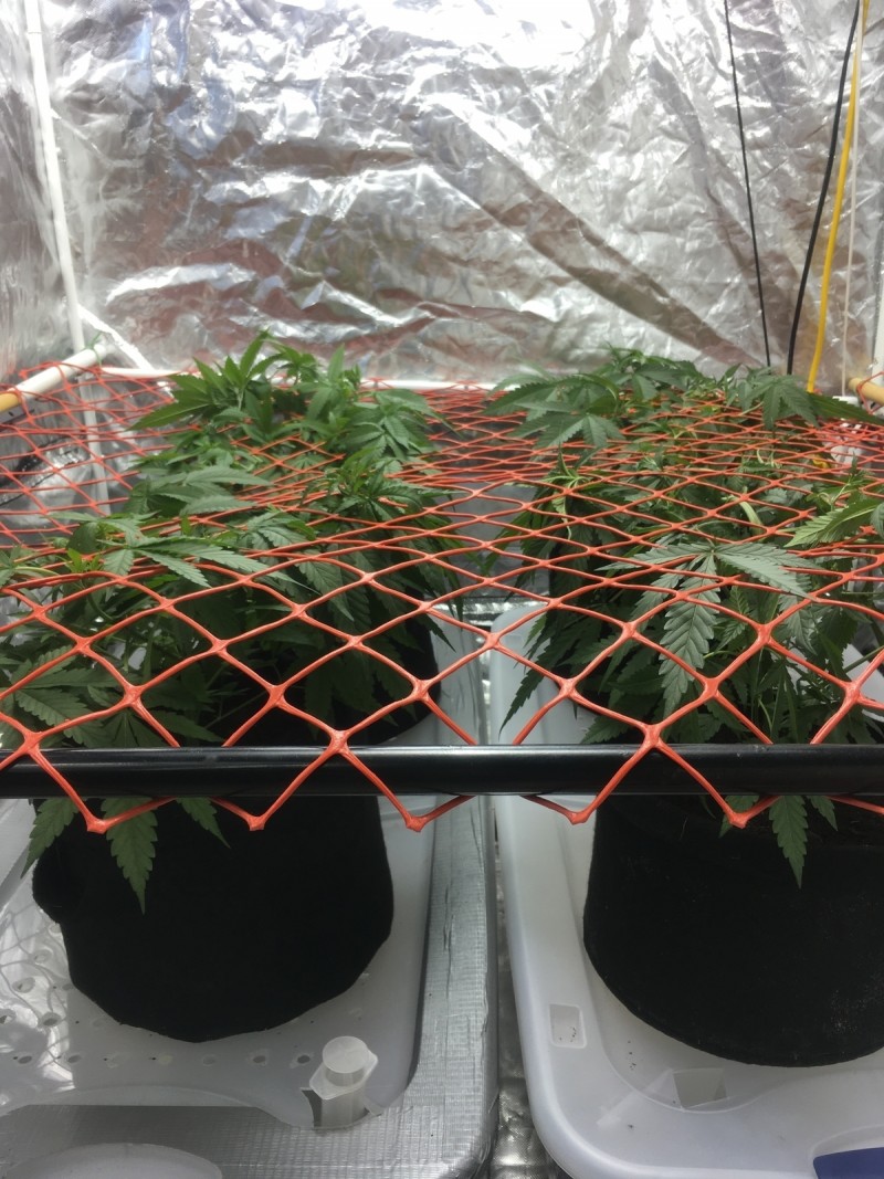 604991A1-4DC2-4E2B-ACE8-1B3276047D9E