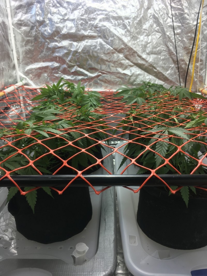 7DD05EB8-54C3-4D61-B2B2-92BF31BDFD7F