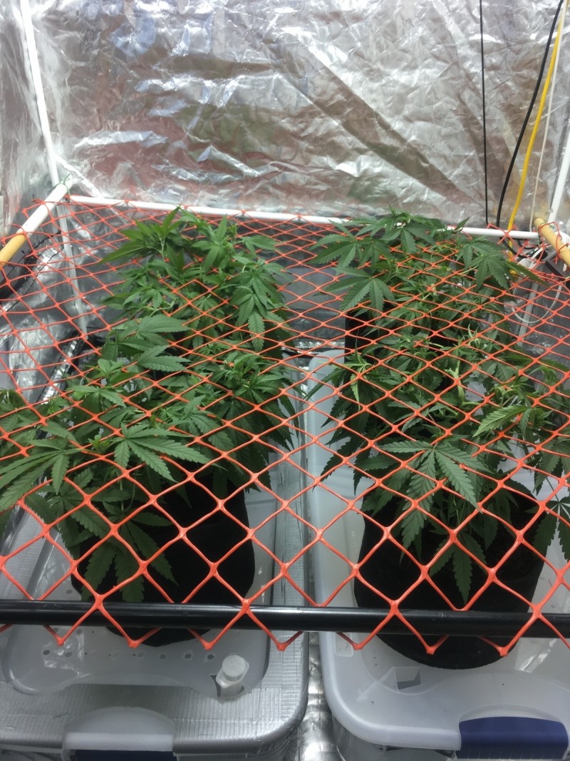 9898D43E-77EE-4A66-A5A5-2DE15356D804