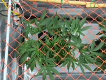 FAF9452F-CEDA-4266-80B2-C0A8C2B04A22