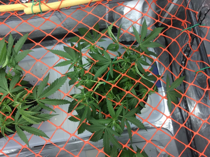 7D641845-1543-445E-A68E-79354586588E