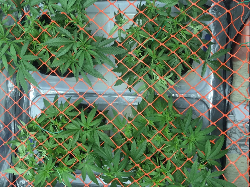 71F9F356-68EF-4643-B85F-887E7F8DAEEC