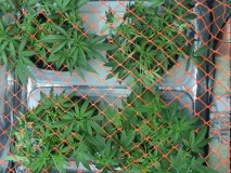 71F9F356-68EF-4643-B85F-887E7F8DAEEC